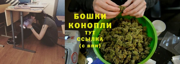 дурь Медвежьегорск