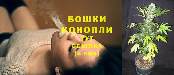 дурь Медвежьегорск