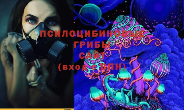 мдпв Медногорск