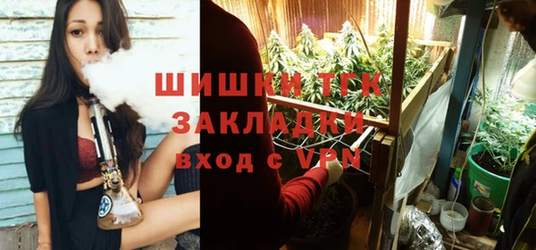 тгк Михайловск