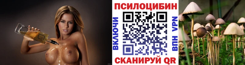 Галлюциногенные грибы прущие грибы  закладки  Цоци-Юрт 